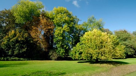 Groen, groener, het groenst